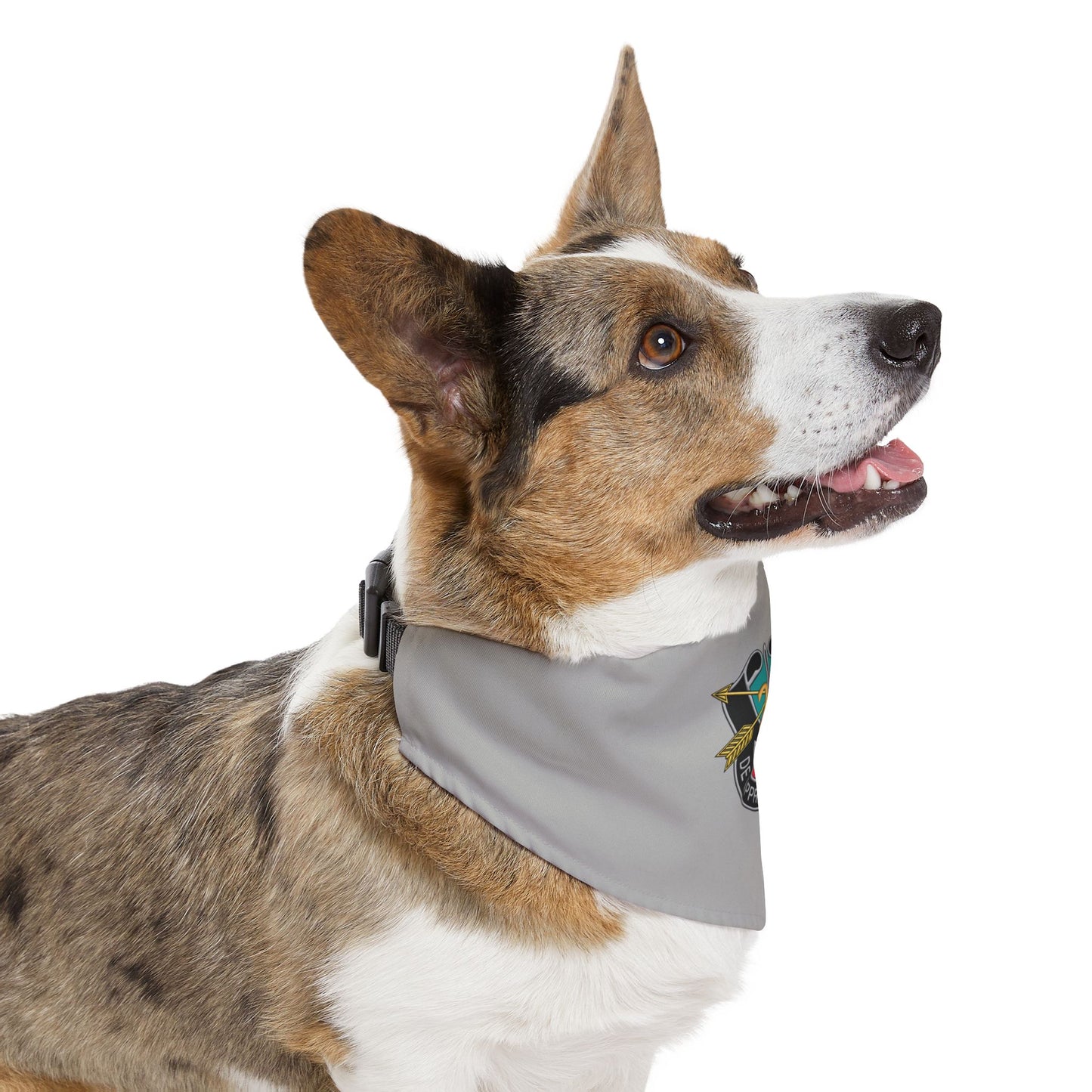 20th SFG Pet Bandana Collar
