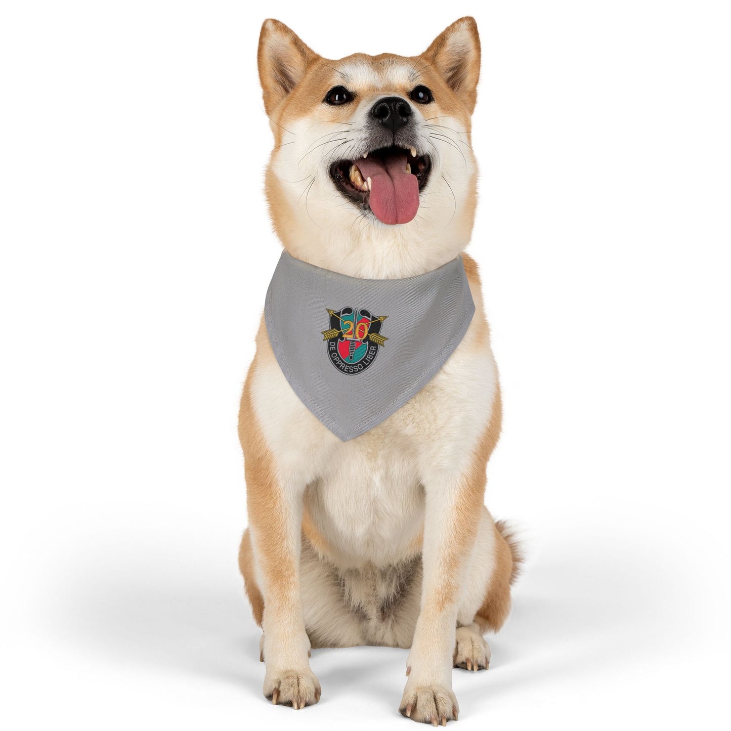 20th SFG Pet Bandana Collar