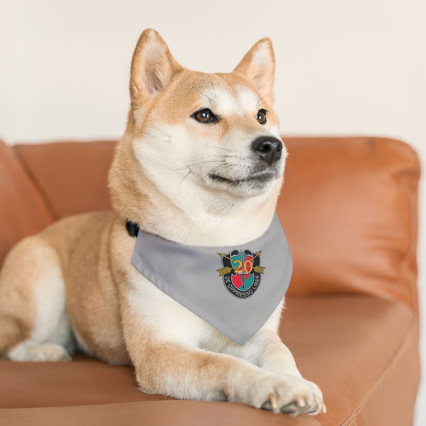 20th SFG Pet Bandana Collar