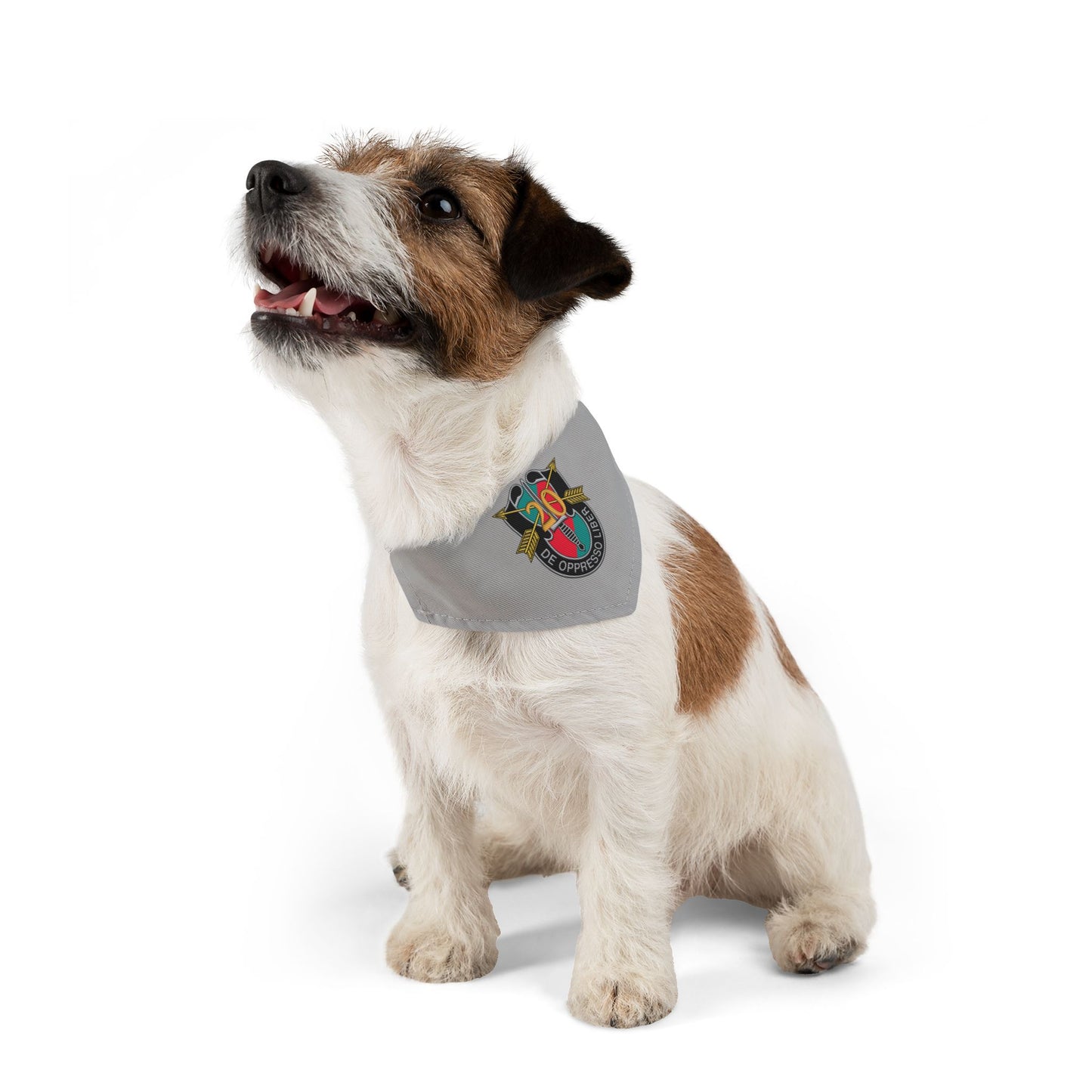 20th SFG Pet Bandana Collar