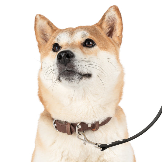 Funny Leash