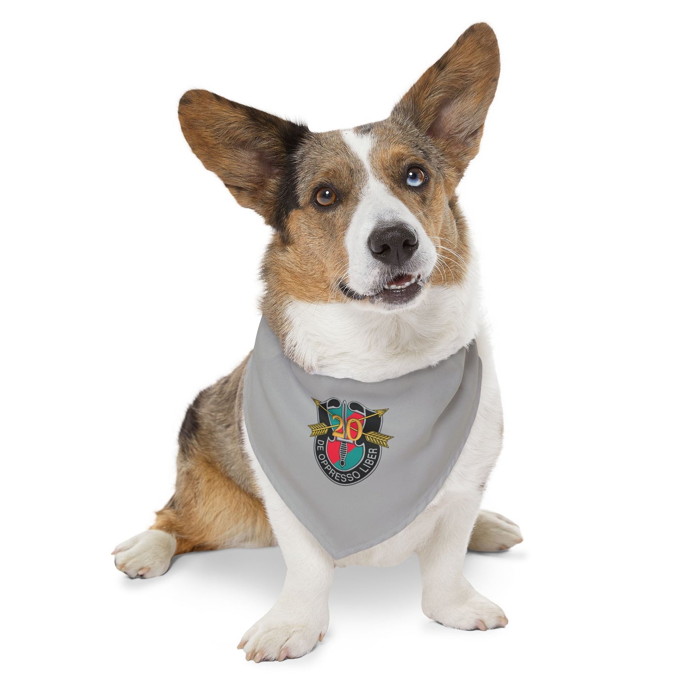 20th SFG Pet Bandana Collar