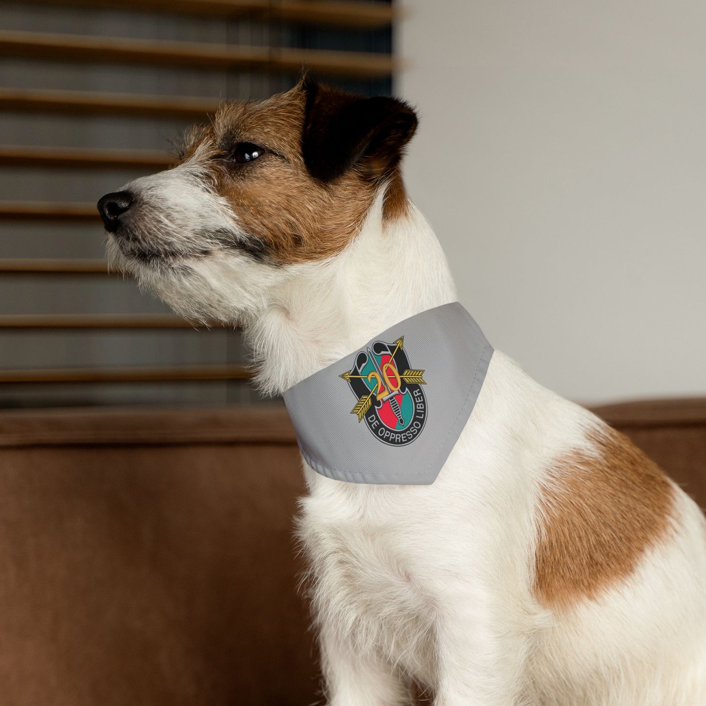 20th SFG Pet Bandana Collar